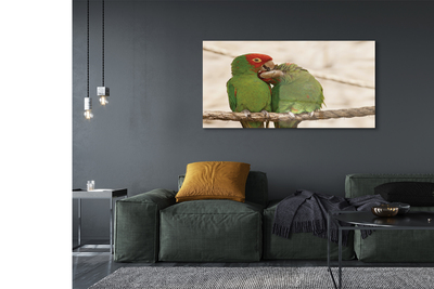 Acrylglasbilder Grüne papageien