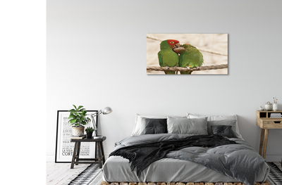 Acrylglasbilder Grüne papageien
