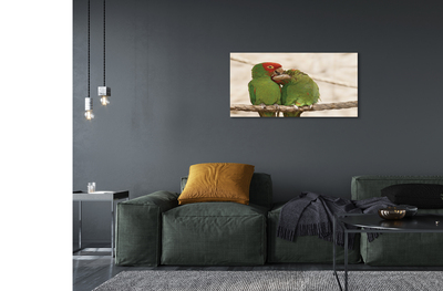 Acrylglasbilder Grüne papageien