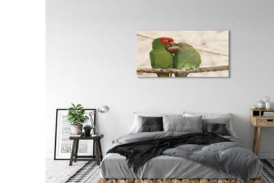 Acrylglasbilder Grüne papageien