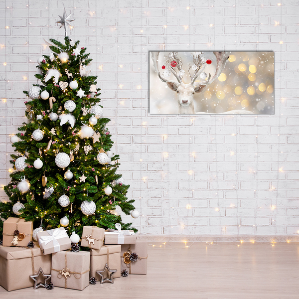 Acrylglasbilder Weiß Ren-Weihnachtskugeln