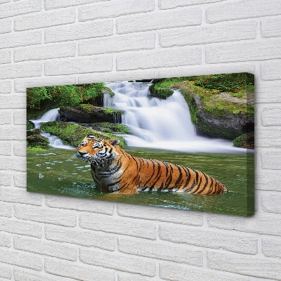 Leinwandbilder fallendem Wasser tiger