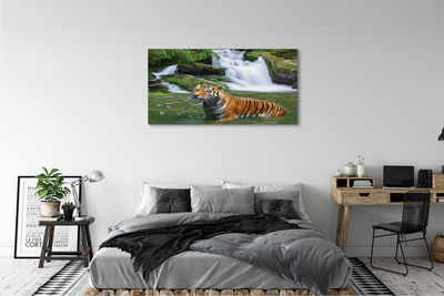 Leinwandbilder fallendem Wasser tiger