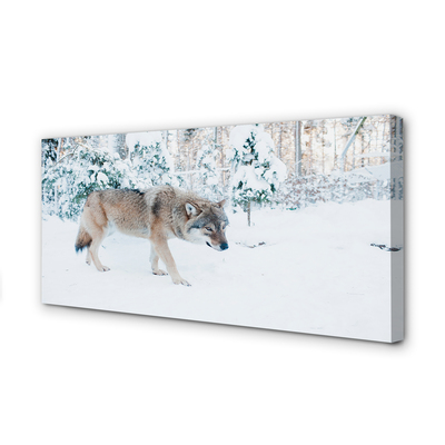 Leinwandbilder Loup Winterwald