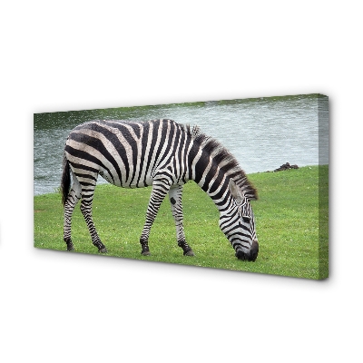 Leinwandbilder Zebra