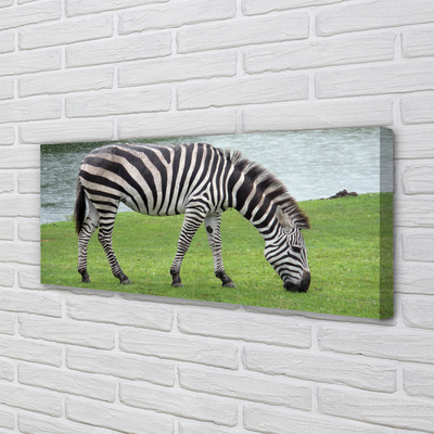 Leinwandbilder Zebra