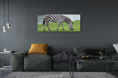 Leinwandbilder Zebra