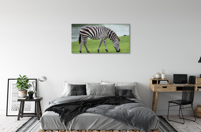 Leinwandbilder Zebra