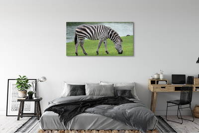 Leinwandbilder Zebra