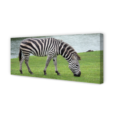 Leinwandbilder Zebra