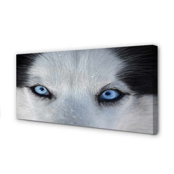 Leinwandbilder Wolf Augen