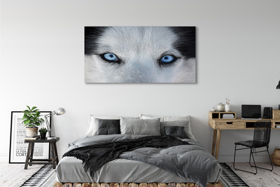 Leinwandbilder Wolf Augen