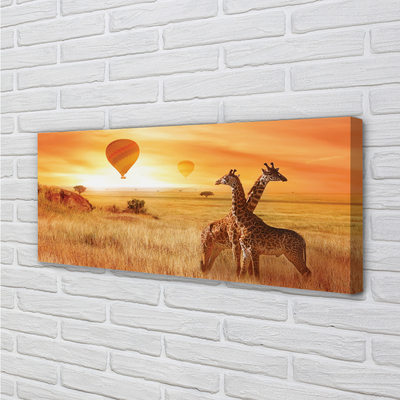 Leinwandbilder Ballon-Himmel-Giraffe