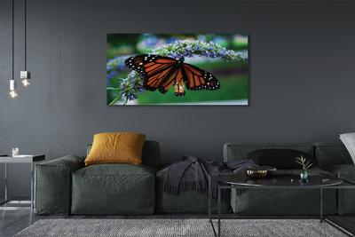 Leinwandbilder Schmetterling auf Blume