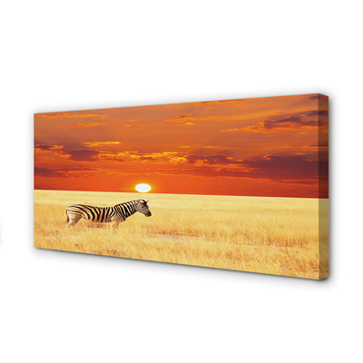 Leinwandbilder Zebra Sonnenuntergang Feld