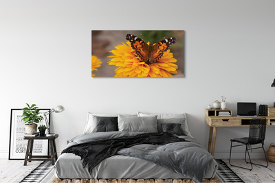 Leinwandbilder Schmetterling farbige Blumen