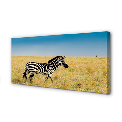 Leinwandbilder Zebra-Box