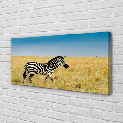 Leinwandbilder Zebra-Box