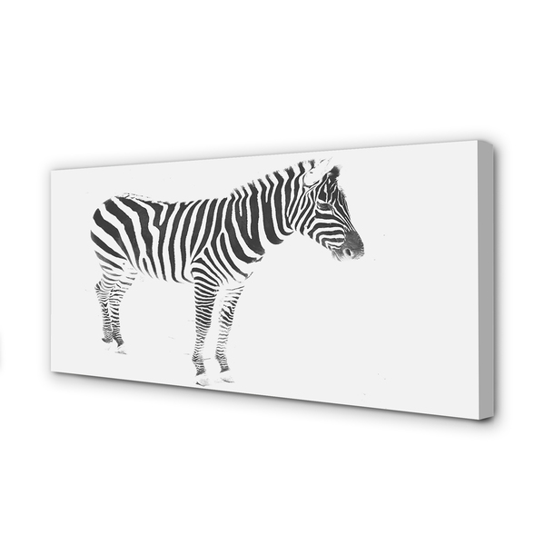 Leinwandbilder painted Zebra