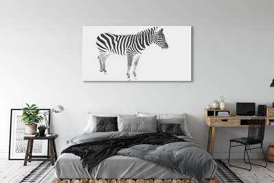 Leinwandbilder painted Zebra