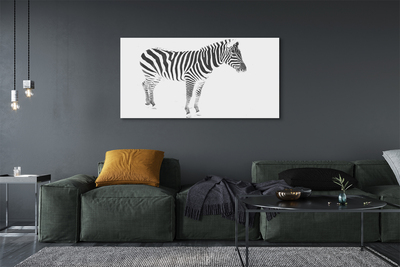 Leinwandbilder painted Zebra