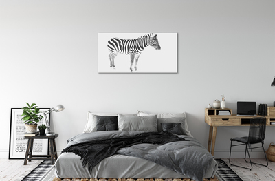 Leinwandbilder painted Zebra