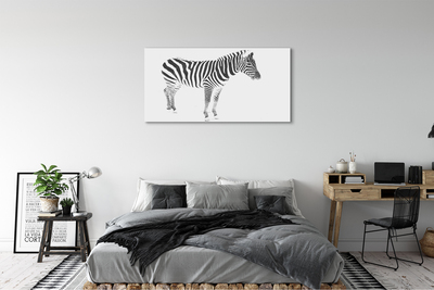 Leinwandbilder painted Zebra