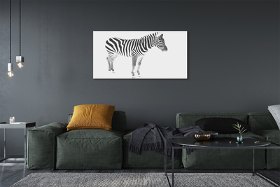 Leinwandbilder painted Zebra