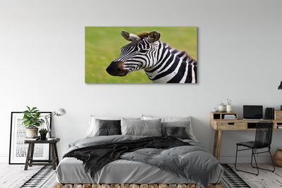 Leinwandbilder Zebra