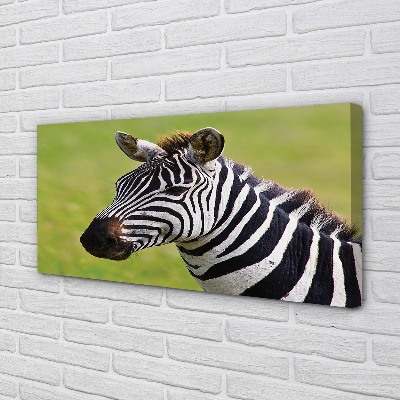 Leinwandbilder Zebra