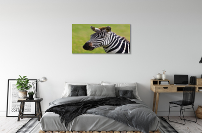 Leinwandbilder Zebra