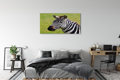 Leinwandbilder Zebra