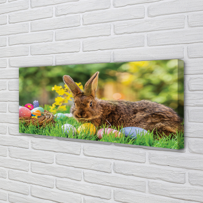 Leinwandbilder Wiese rabbit Eier