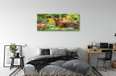 Leinwandbilder Wiese rabbit Eier