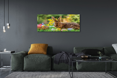 Leinwandbilder Wiese rabbit Eier