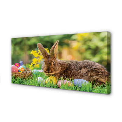 Leinwandbilder Wiese rabbit Eier