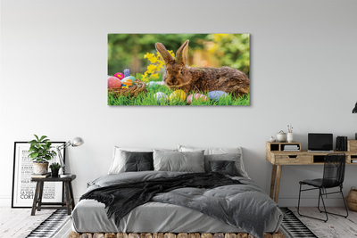 Leinwandbilder Wiese rabbit Eier