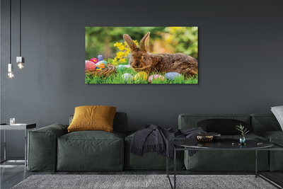 Leinwandbilder Wiese rabbit Eier