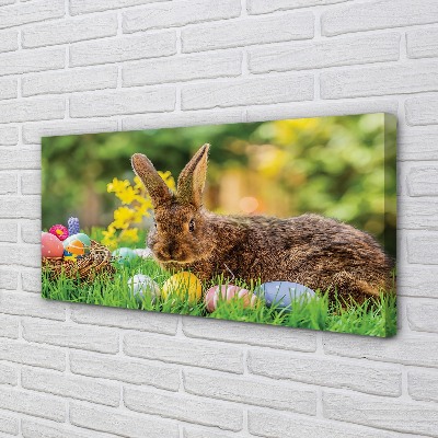 Leinwandbilder Wiese rabbit Eier