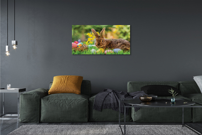 Leinwandbilder Wiese rabbit Eier