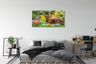 Leinwandbilder Wiese rabbit Eier