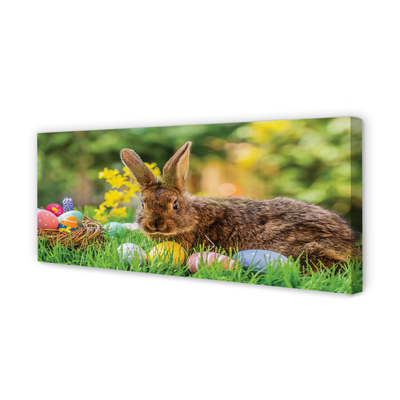 Leinwandbilder Wiese rabbit Eier