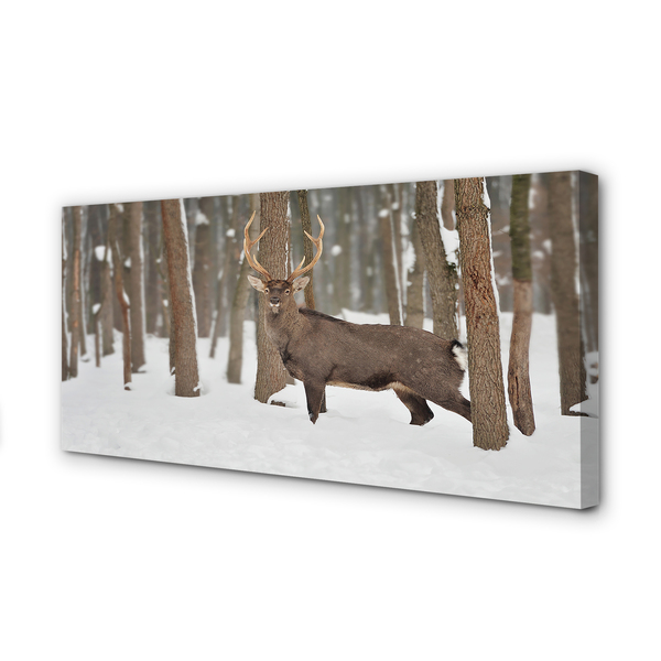 Leinwandbilder Deer Winterwald