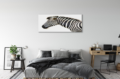 Leinwandbilder Zebra