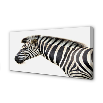 Leinwandbilder Zebra