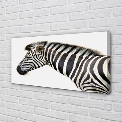 Leinwandbilder Zebra