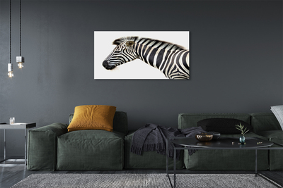 Leinwandbilder Zebra