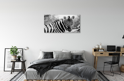 Leinwandbilder Zebra retro