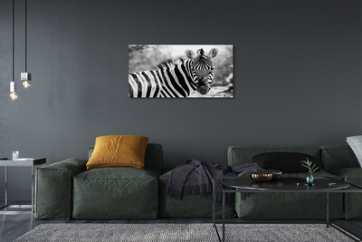 Leinwandbilder Zebra retro