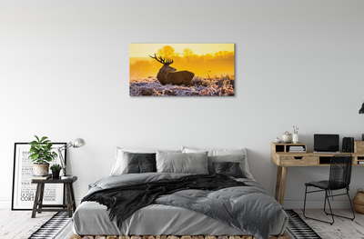 Leinwandbilder Deer Sonnenaufgang Wintersonne